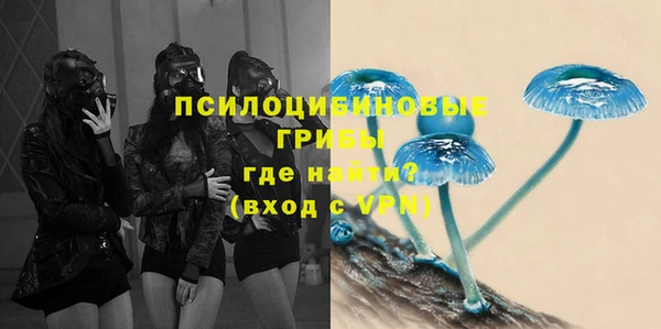 стаф Алексин