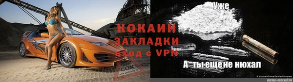 стаф Алексин