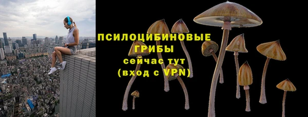 стаф Алексин