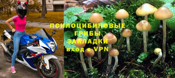 стаф Алексин